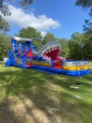 20' Mega Shark Water Slide