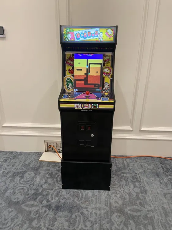 Did Dig Arcade Game Did Dig Arcade Game