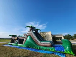 Congo Rainforest Obstacle Course