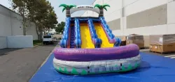 15' Duel Wild Thing Water Slide