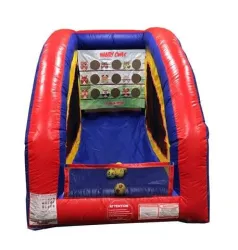 Carnival Anger Birds Game