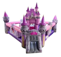 Disney Princess Playground