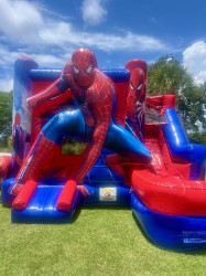 Spiderman Combo Dry